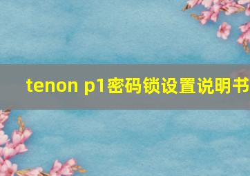 tenon p1密码锁设置说明书